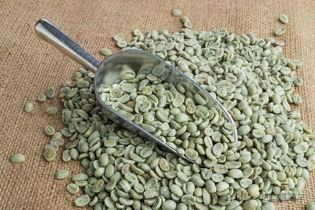[Import Case] ​​How to import customs clearance of green coffee beans?