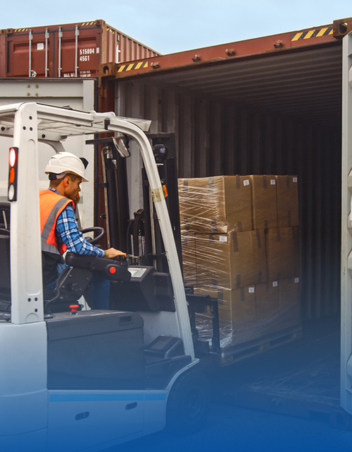 All kinds of food and related machinery