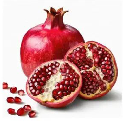 Policy Interpretation | Plant Quarantine Requirements for Imported Peruvian Fresh Pomegranates