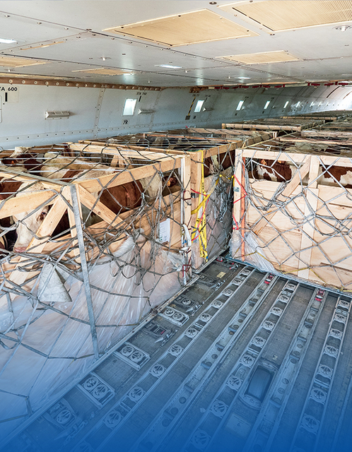 Live animal animal and plant specimens